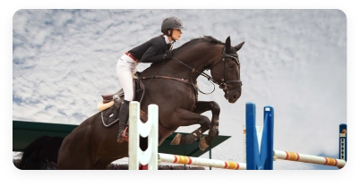 Cavalo e cavaleiro em pleno salto durante uma prova equestre