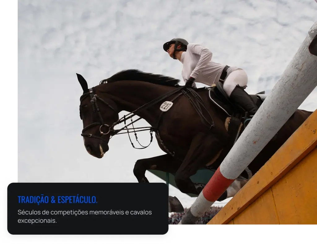 Cavalo de competição a saltar uma barreira num percurso equestre